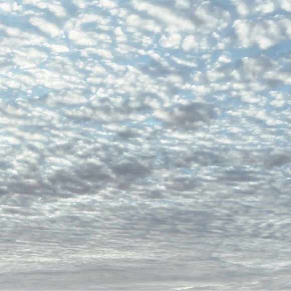 Meet your Posher, Bon - Picture 1 of 1